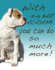 American Bull Dog