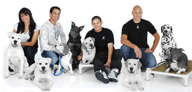 Trained dogs at the K-9 BAR Academy