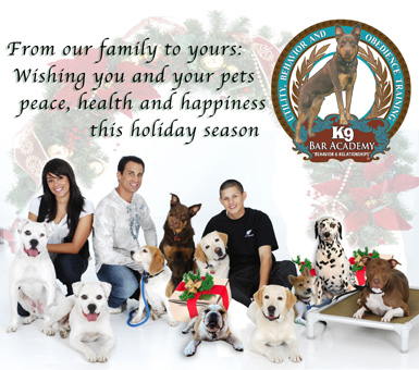 Dog christmas card
