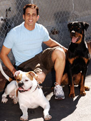 Anthony Gio next to Labradors, Man's Best Friend Just Got Better